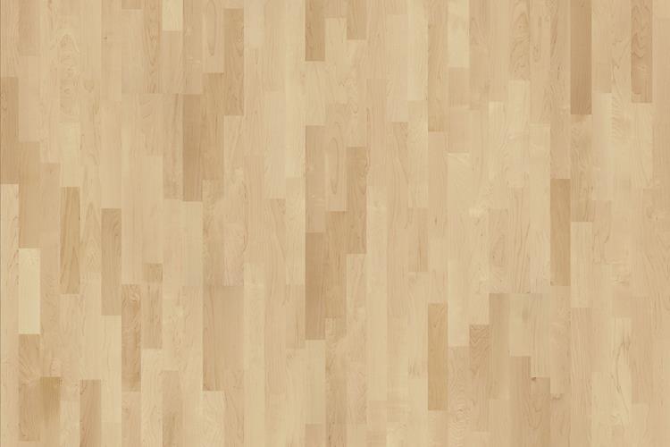 Клен Торонто